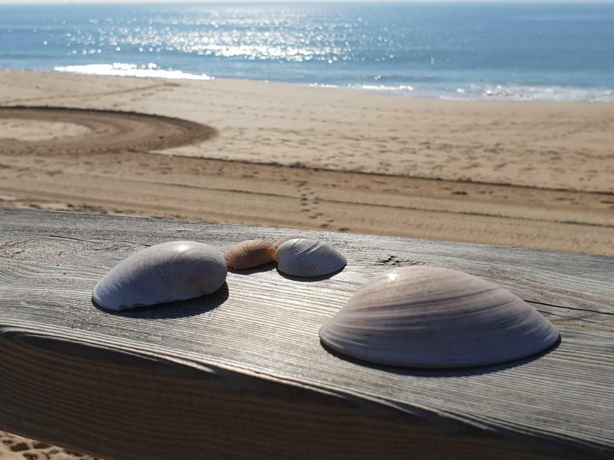Algarve Beachfront אלבור מראה חיצוני תמונה